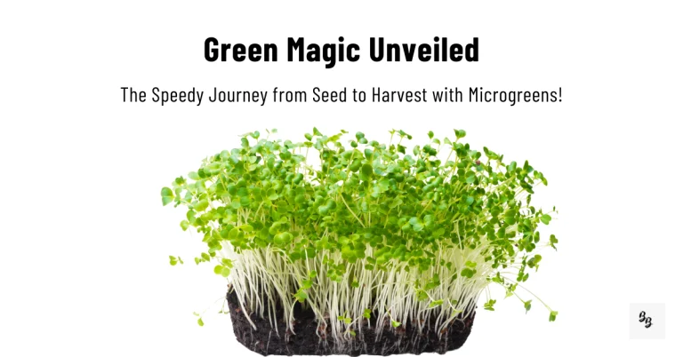 How Fast Microgreens Grow: From Seed to Harvest
