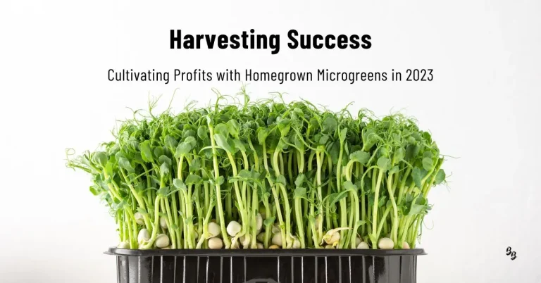 A Profitable Microgreen Business at home in 2023