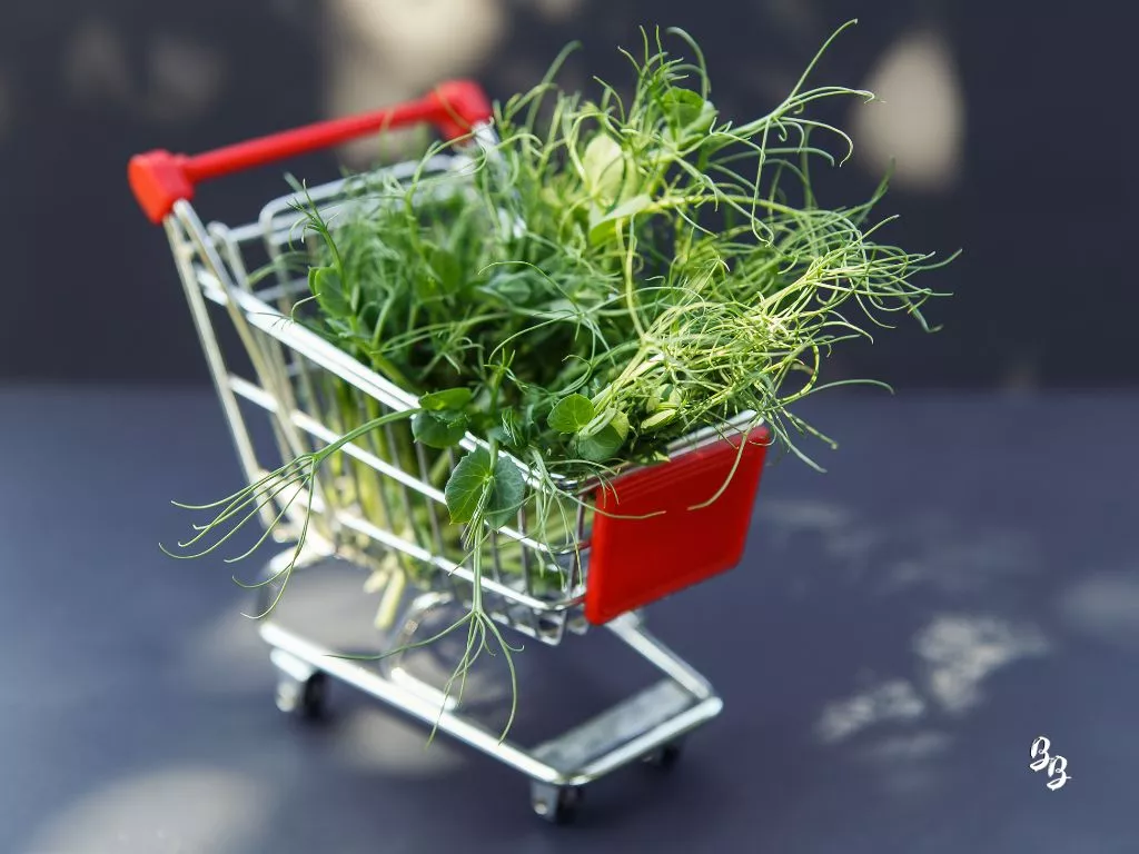 Pea shoots, Groceries, microgreens